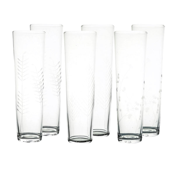 Sienna Etched Stemless Champagne Glassware Set