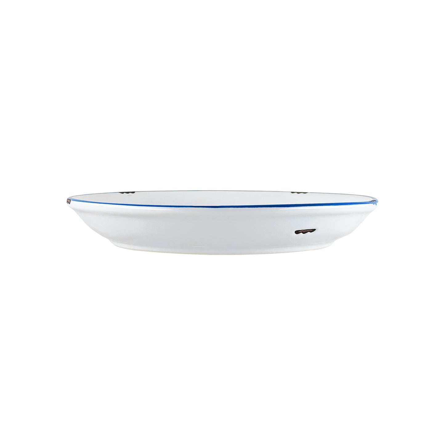 Tinware Salad Plate in White/Blue - Set of 4