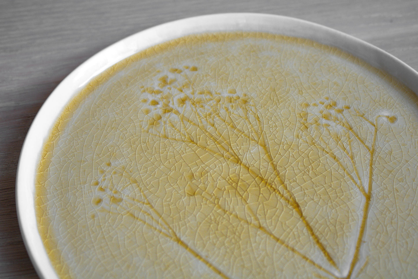 Meadow Yellow Porcelain Medium Plate, Set of 4