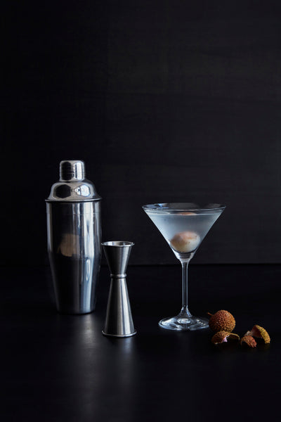 Canvas Home Martini Stemware Set