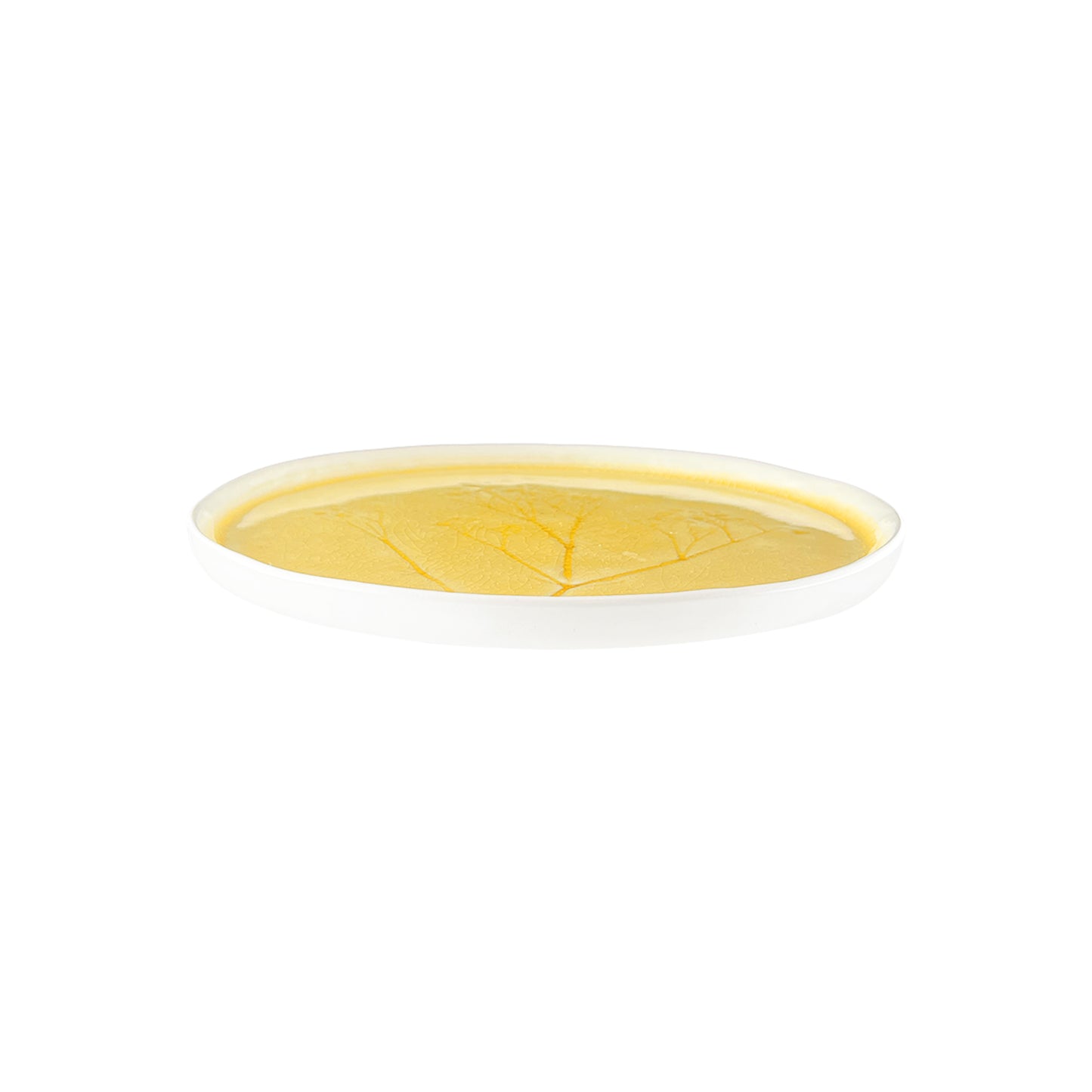 Meadow Yellow Porcelain Medium Plate, Set of 4