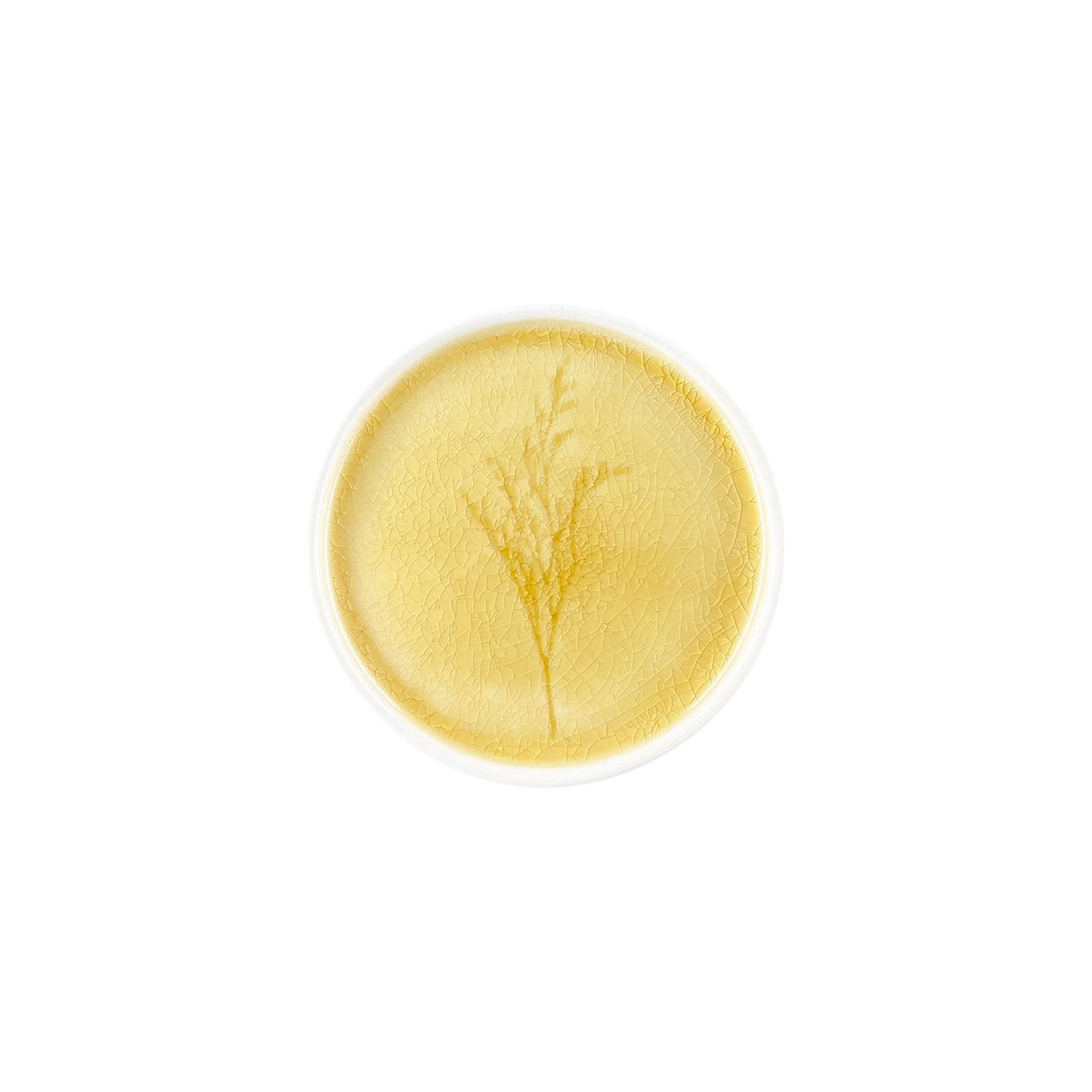 Meadow Yellow Porcelain Small Plate, Set of 4