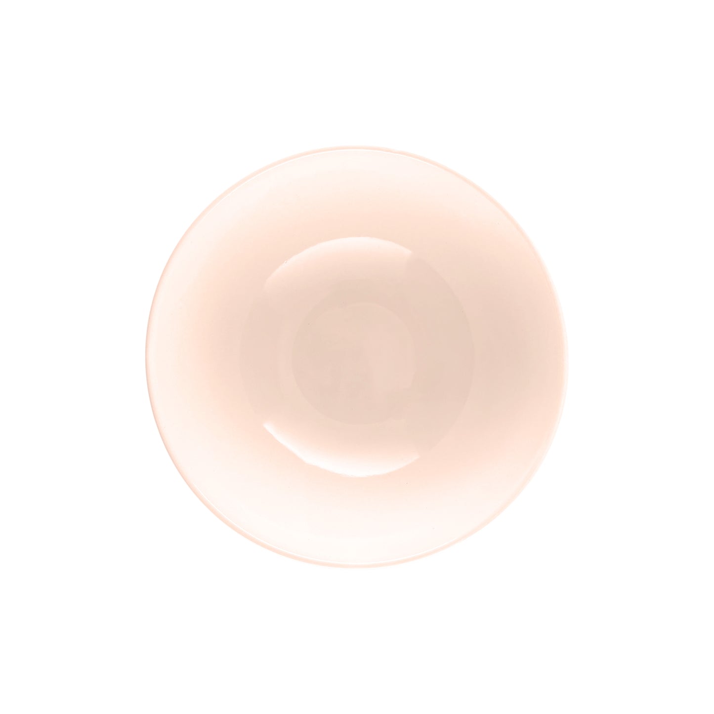 Shell Bisque Soft Pink Porcelain 4 Piece Dinnerware Set, Service For 1