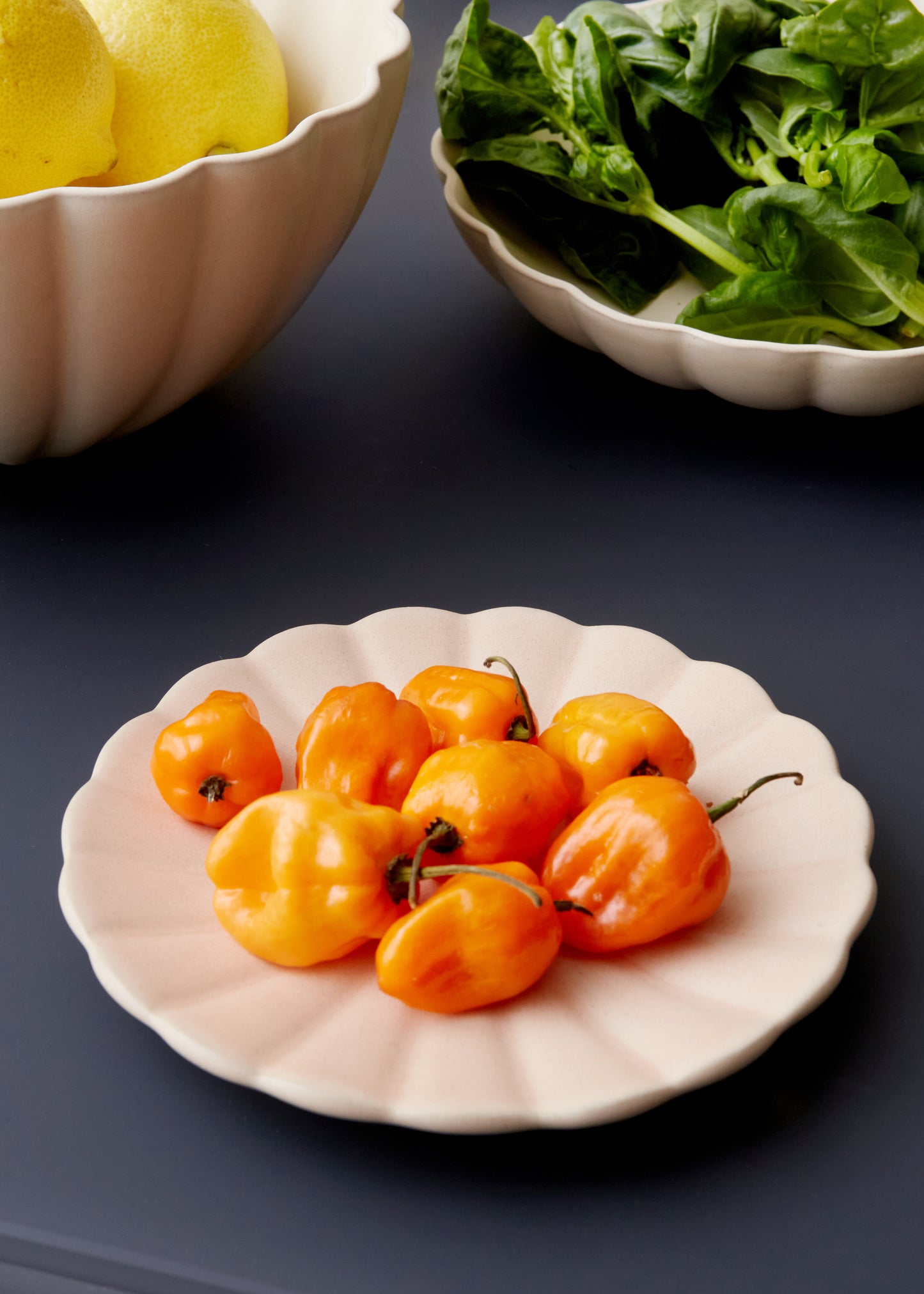 Lafayette Blush Stoneware Bread Plate, Set of 4