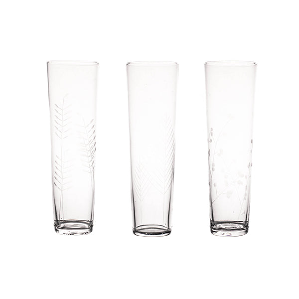 Sienna Etched Stemless Champagne Glassware Set