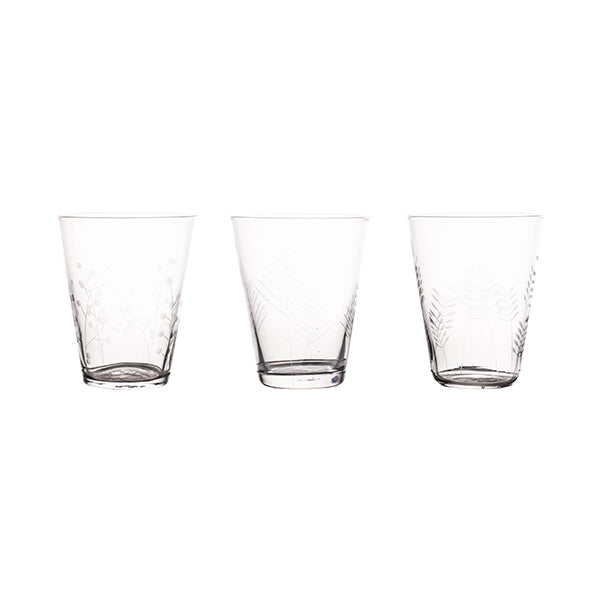 Sienna Etched Water Glassware Set