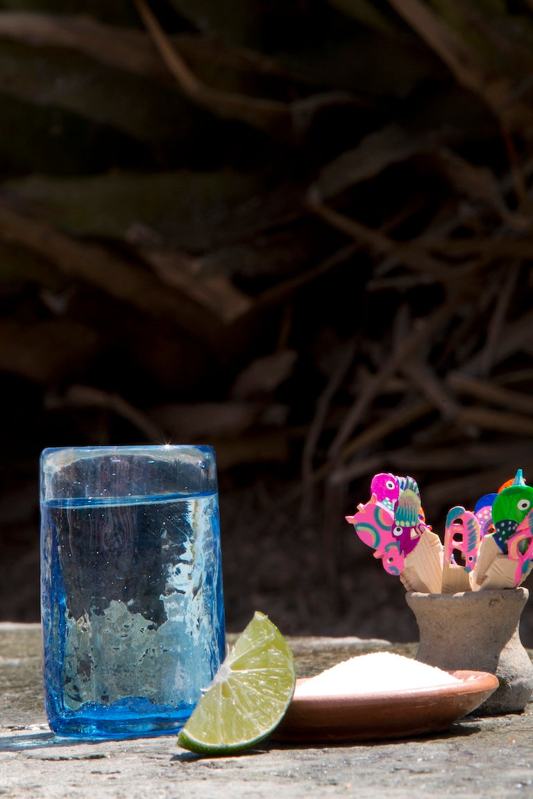 S/2 Xaquixe Shot Glasses -Turquoise