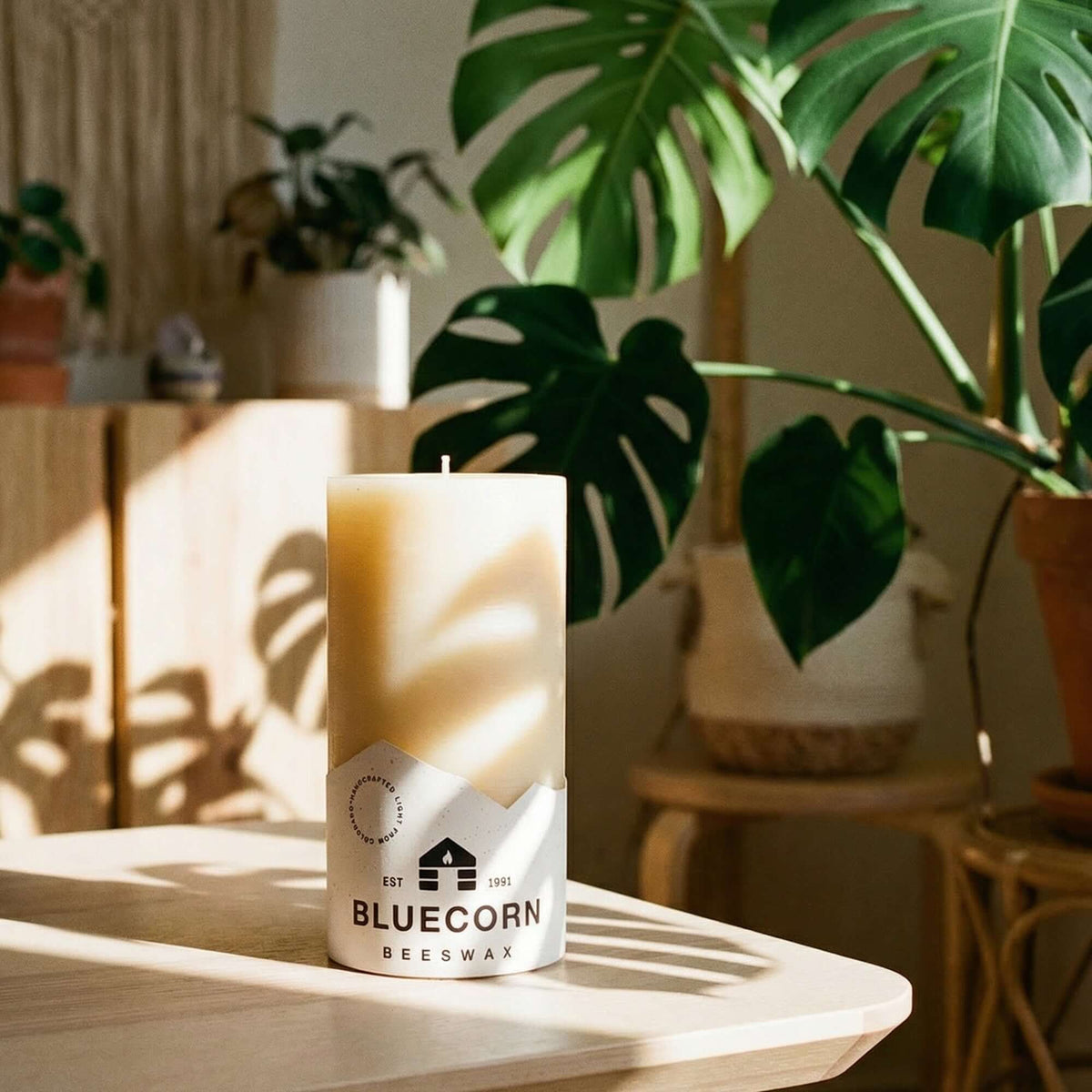 Ivory Pure Beeswax Pillar Candles
