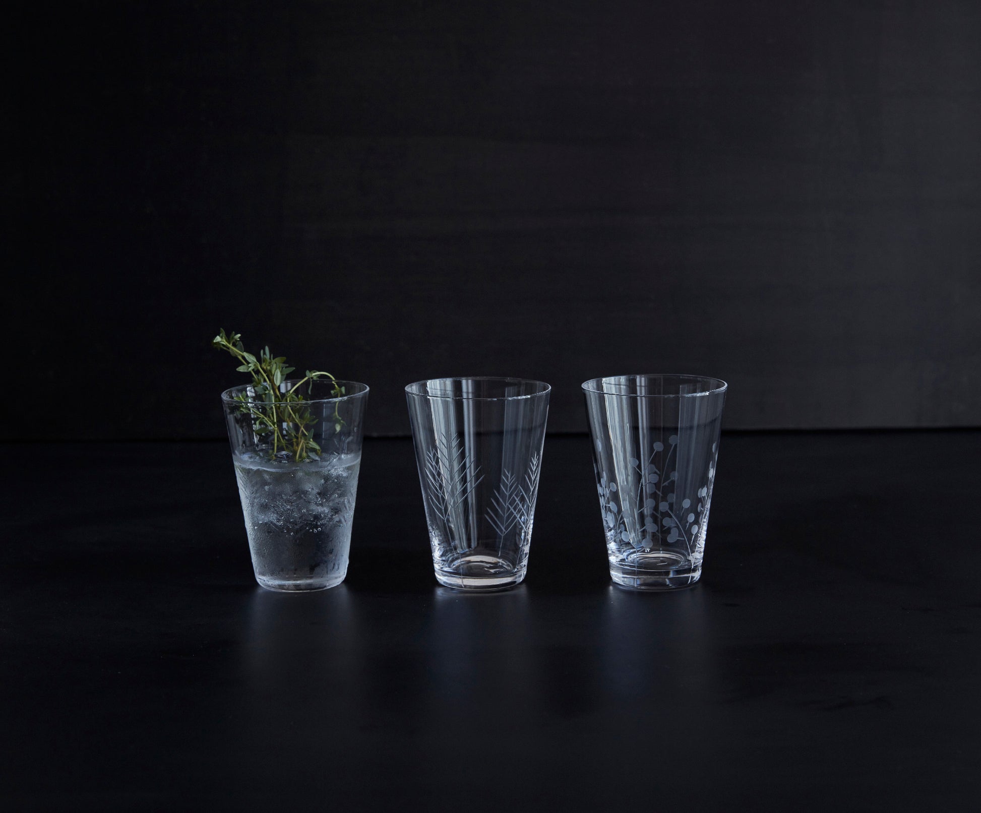 Sienna Etched Water Glassware Set Canvas Home Barware, Clear, Etched, Etched Floral, Etched Foliage, Etched Glass, Etched Glassware, Glass, Glassware, Sienna, Tumbler, Water Glass, Water Glassware