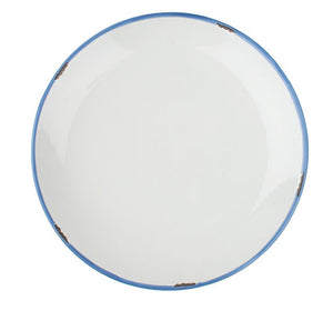 Tinware Salad Plate in White/Blue  - Set of 4