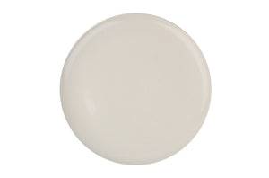 Shell Bisque Dinner Plate White - Canvas Home