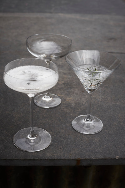 Canvas Home Champagne Coupe, Set of 4