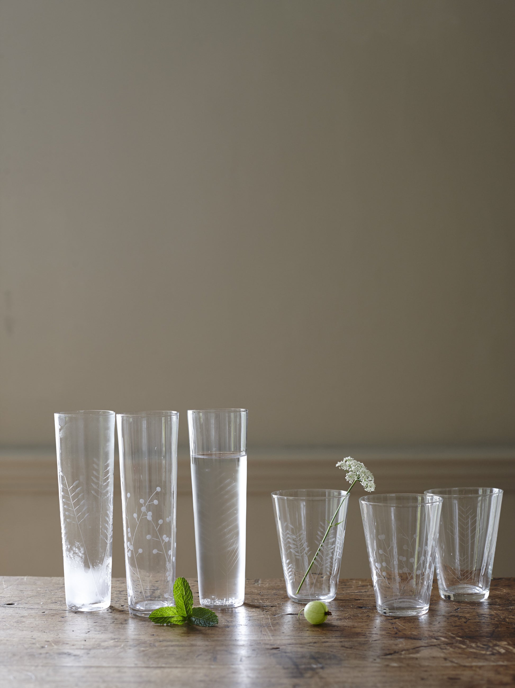 Sienna Etched Water Glassware Set Canvas Home Barware, Clear, Etched, Etched Floral, Etched Foliage, Etched Glass, Etched Glassware, Glass, Glassware, Sienna, Tumbler, Water Glass, Water Glassware